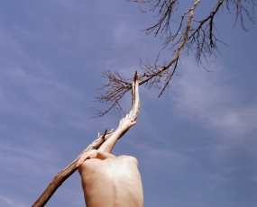 paralyzed