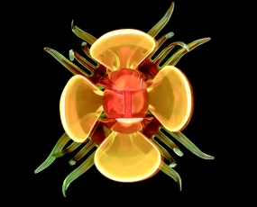spoon + fork  + knife = flower