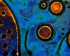 A drop of white wine-Blue