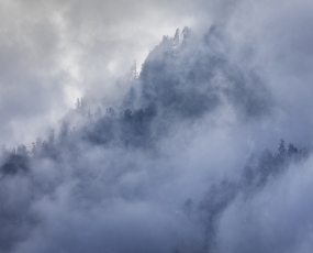  Himalayan fog