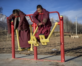 Playful monks