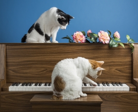 The pianist and his Student