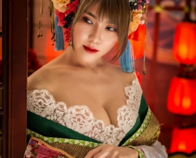 The Beautiful Geisha