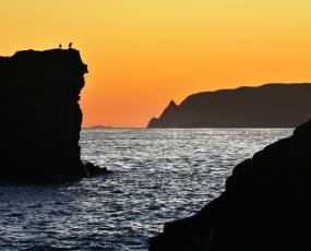 coastal silhouette