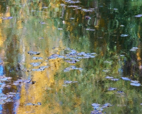 Autumn Pond