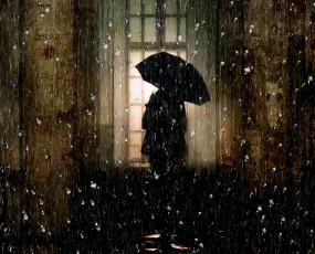 The voyeur