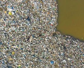Plastics and the Environment