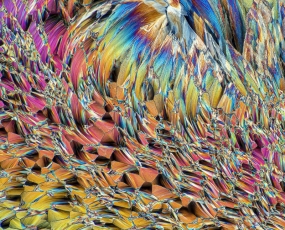 MICROCRYSTALS IN POLARIZED LIGHT, a mixture of urea and paracetamol,