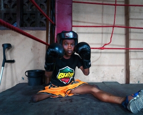 Jamestown Boxer