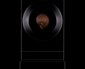 The  Frame