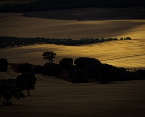 Fields of La Mancha