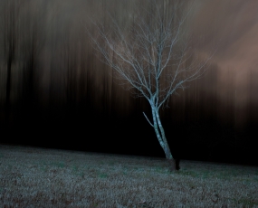 Presence