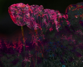 Glass of Flowers