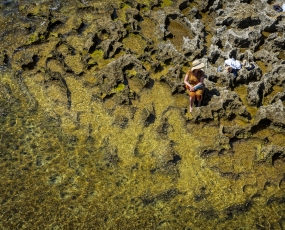 The Woman in Brown
