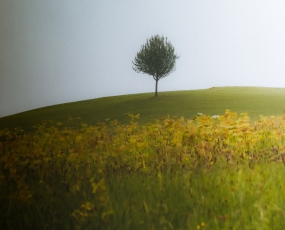 a summer day in august